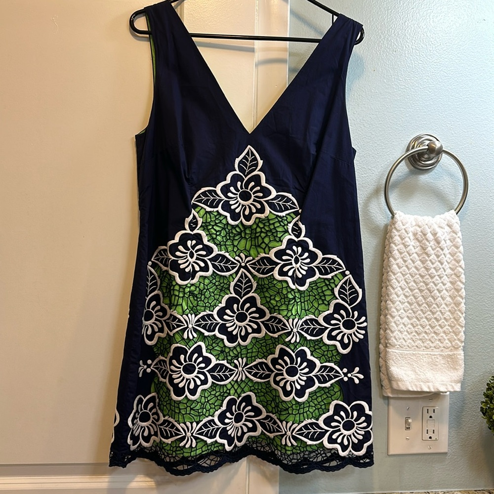 Adorable and Unique Lily Dress